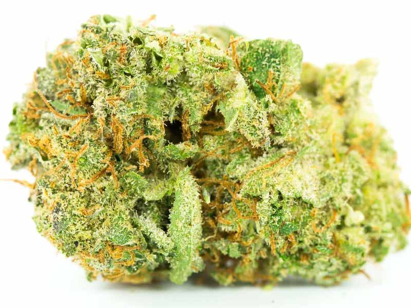 Чем меньше мирцена, тем больше Хай-эффекта Шишка конопли