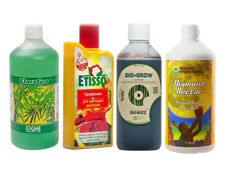 Удобрения для конопли на вегетации Готовые удобрения