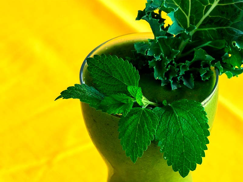 Добавление семян конопли в смузи Полезный смузи