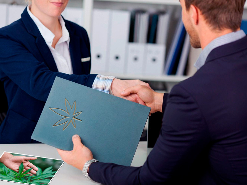 Новые рабочие места благодаря конопле Институты мира по изучению конопли