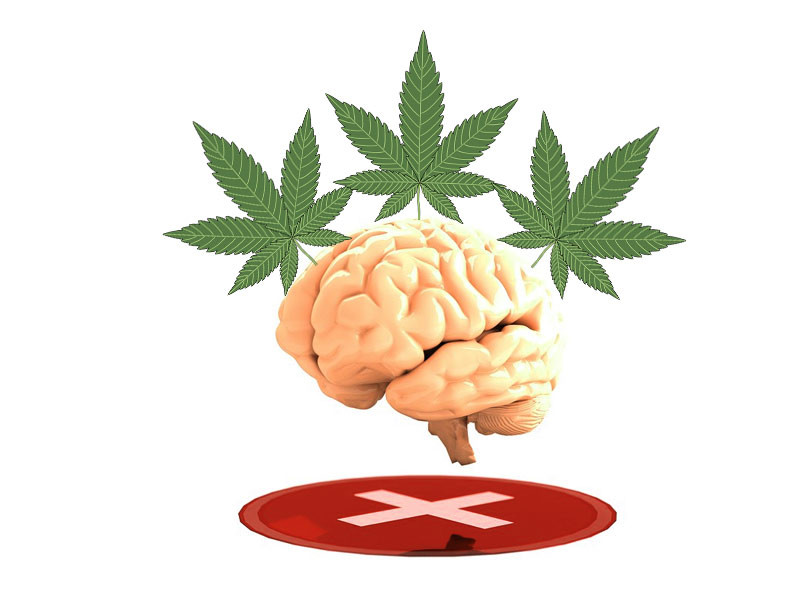 Конопля и эпилепсия Польза конопли при эпилепсии