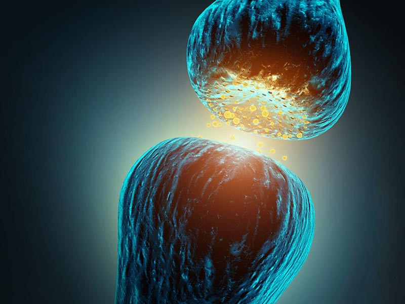 действие КБД