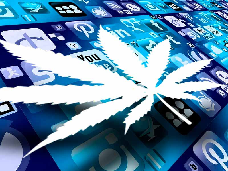 Форумы о марихуане и не только Форумы про коноплю