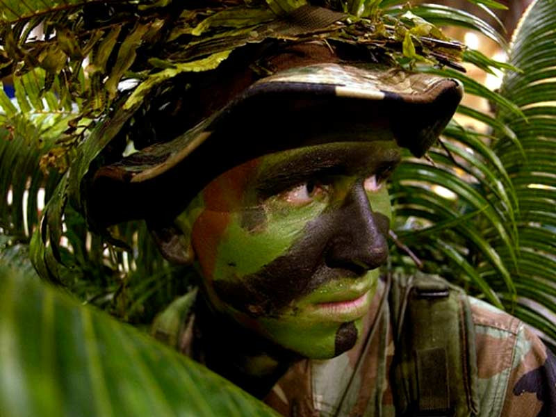 Маскировка при выращивании марихуаны Камуфляж