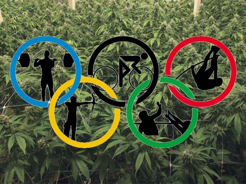 Влияние марихуаны на спорт спорт и каннабис