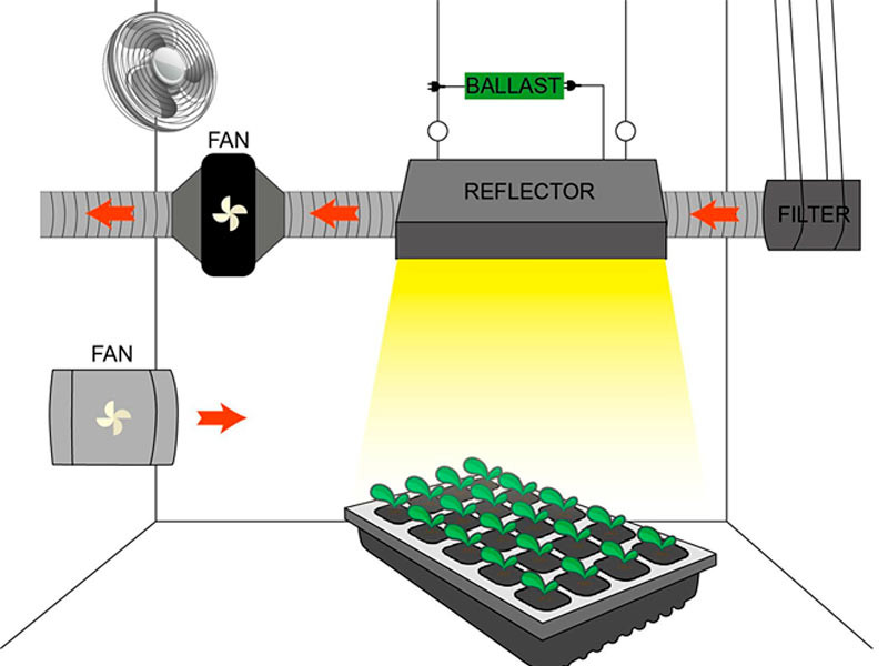 Схема системы вентиляции в гроубоксе Система вентиляции в гроубоксе