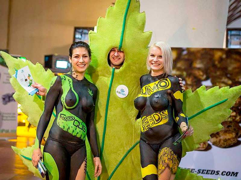 Развлечения на Каннафесте Культурная программа на Каннафесте