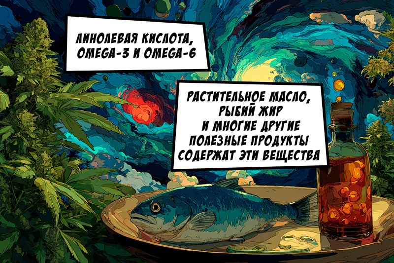 Линолевая кислота, Omega-3 и Omega-6 как аналоги конопли