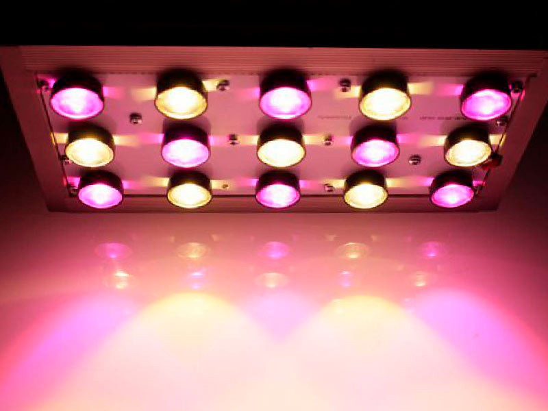 LED Фитолампы своими руками Диоды для растений