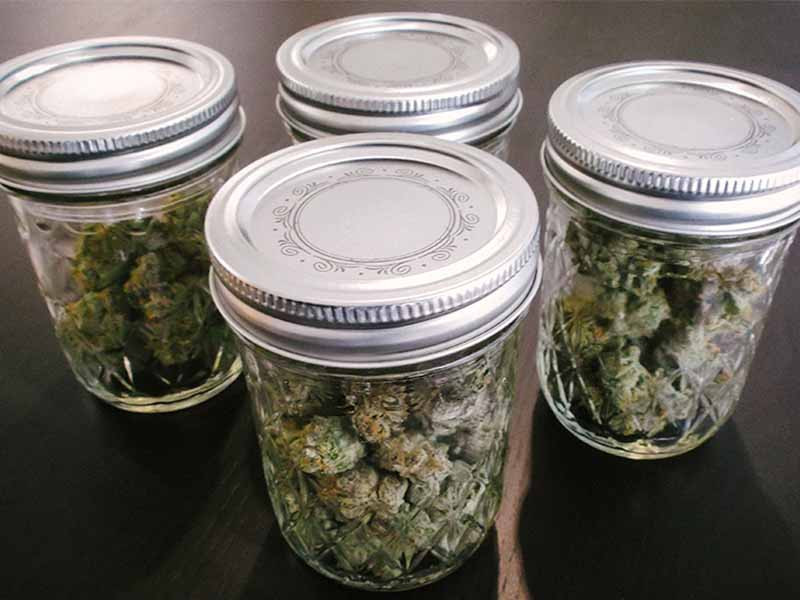 Хранение шишек в банке Шишки в банке