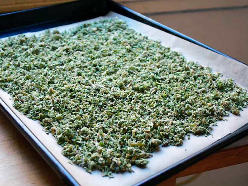 Декарбоксилирование конопли преобразует ТГКК в ТГК Конопля на противне перед декарбоксилизацией