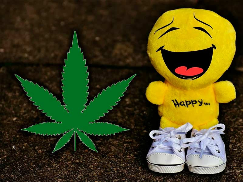 Смешные сорта конопли Подборка смешных сортов каннабиса