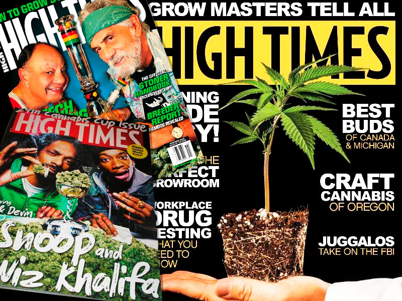 Издания о медицинской марихуане Контент о медицинском применении марихуаны