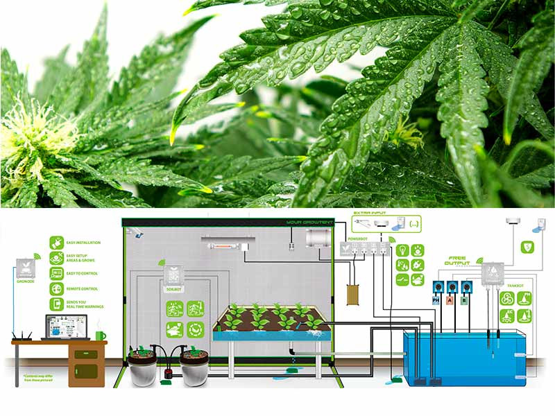 Схема автоматизации гроубоксов Современная автоматизация гроубокса